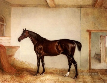 Un cazador de bahía en una caja suelta, caballo de carreras John Ferneley Snr Pinturas al óleo